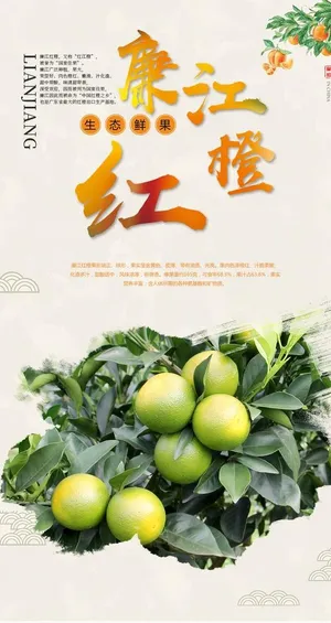 廉江红橙海报橙子红江橙橙园图片