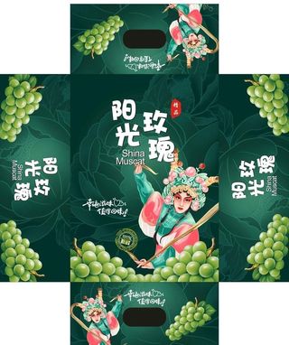 葡萄天地盖平面图图片