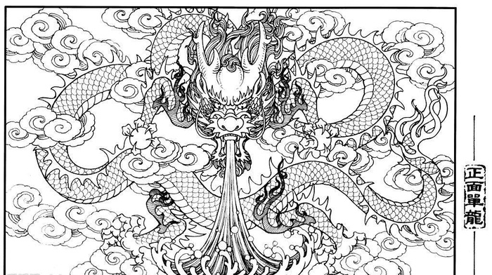单龙正面图片
