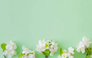 清新背景图图片