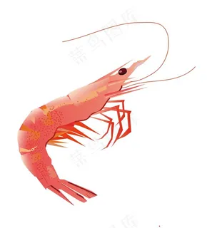 手绘皮皮虾海鲜插画图片 手绘皮皮虾海鲜插画图片