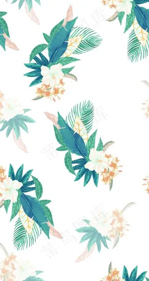 大牌 叶子花图片 大牌 叶子花图片