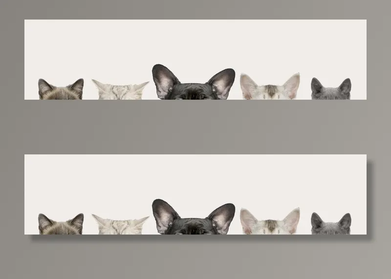 手绘宠物猫狗装饰画图片