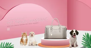 宠物包banner图片