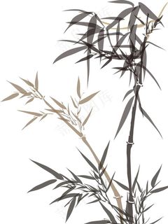 水墨竹子图片