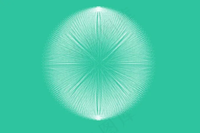 毛绒球图片ai矢量模版下载