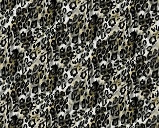 豹纹图片
