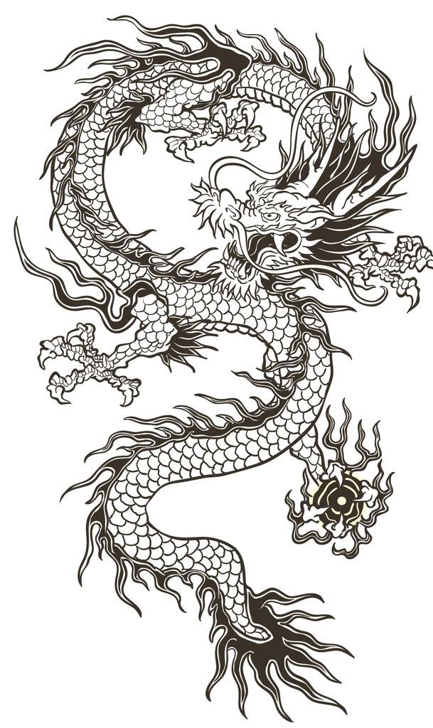 中国龙矢量素材图片ai矢量模版下载