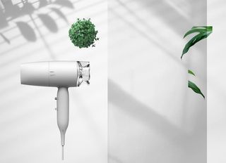 植物影子 光影的运用图片