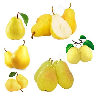 梨图片 梨图片