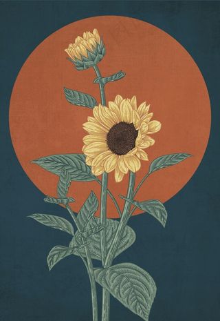 手绘向日葵图片