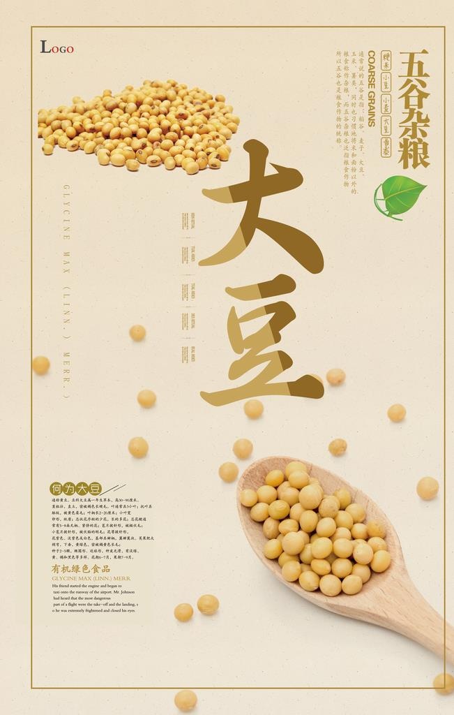 大豆海报图片