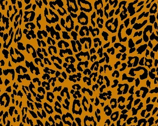豹纹图片