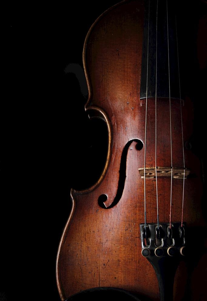 小提琴            图片