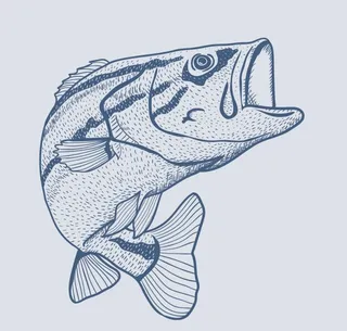 手绘鱼图片