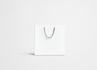 手提袋样机图片