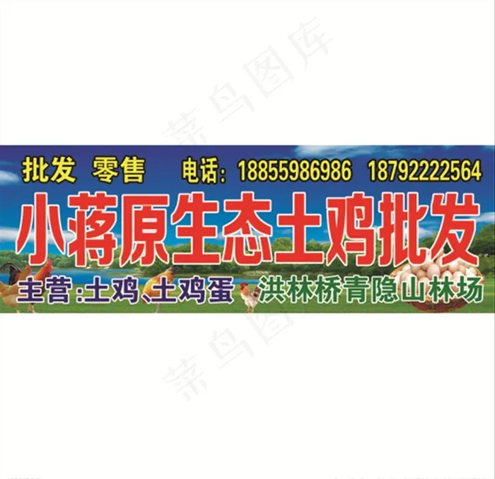 原生态土鸡批发图片psd模版下载