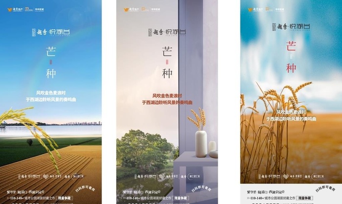 节气稿芒种图片cdr矢量模版下载