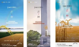 节气稿芒种图片