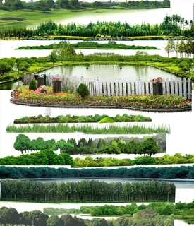 花坛草坪树木森林树林素材图片