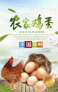 土鸡蛋海报图片