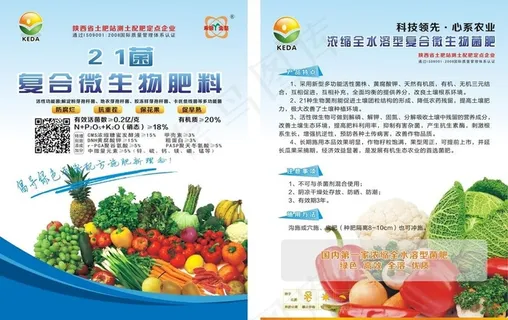 21菌  蔬菜宣传单图片