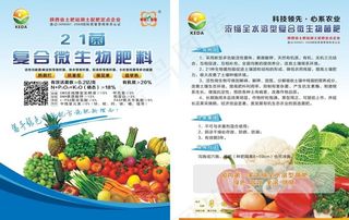21菌  蔬菜宣传单图片