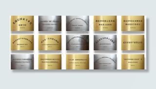 铜牌 银牌 效果图图片