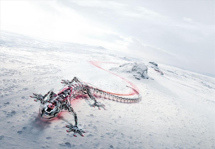 壁虎,qutatro,Q3,高清,合层,,设计,广告设计,其他,300DPI,TIF(8311x6001)
