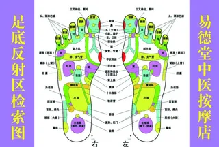 足底反射区检索图图片