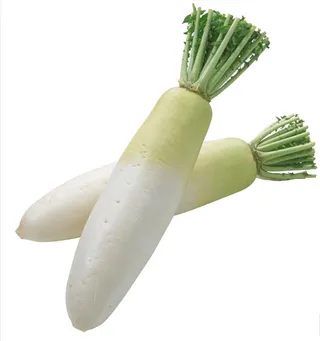 白萝卜图片