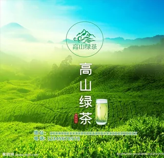 高山绿茶图片
