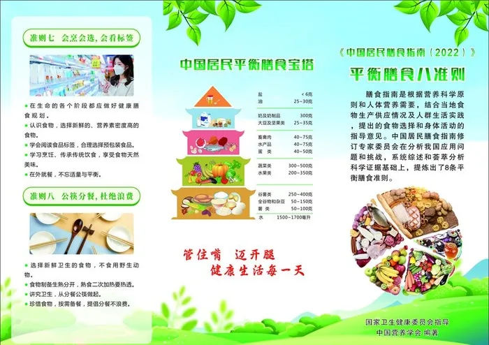 中国膳食指南2022版图片cdr矢量模版下载