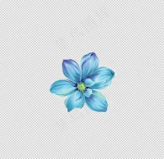 手绘植物花卉图片