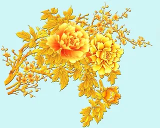 花朵牡丹花 图片