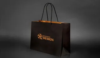 手提袋智能贴图模版效果图样机图片