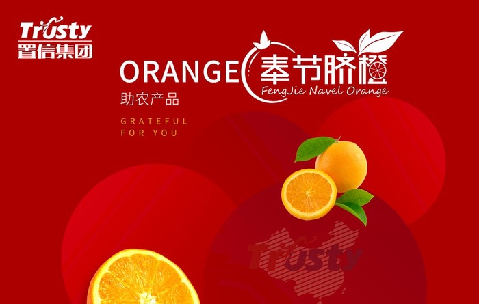 橙子包装图片(5315x3543)psd模版下载