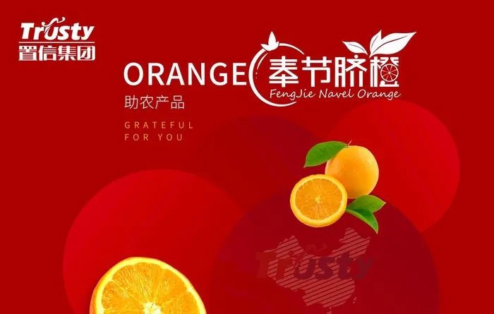 橙子包装图片(5315x3543)psd模版下载