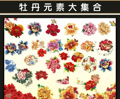 牡丹素材大集合图片