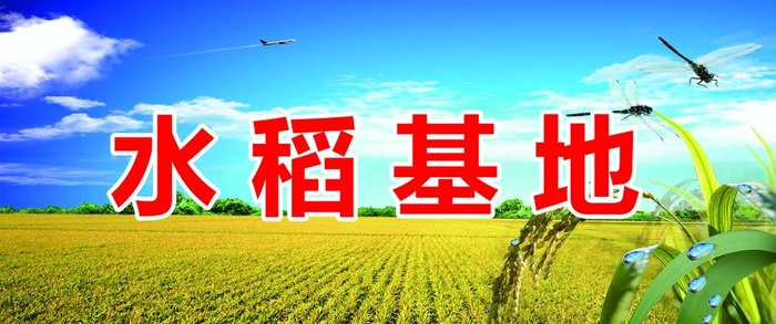 水稻基地图片(3504x1575)psd模版下载