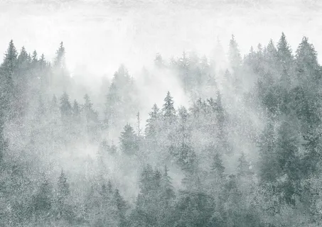 森林背景图图片