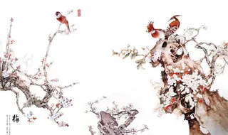 花鸟背景墙图片