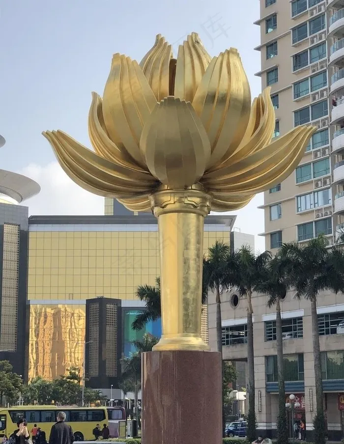 澳门紫荆花图片