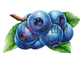 蓝莓图片