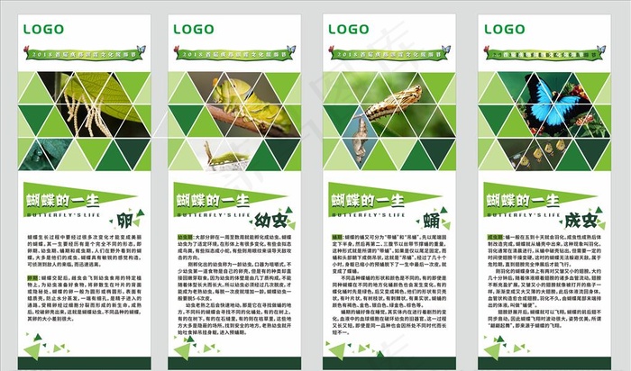 科普知识展板展架图片cdr矢量模版下载