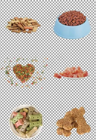 狗粮骨头饼干图片