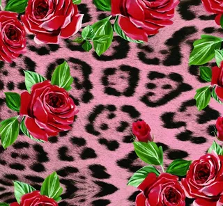 玫瑰豹纹图片