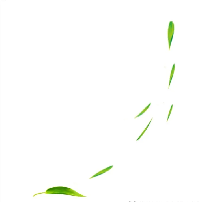粽叶，飞叶图片(2500x2500)psd模版下载