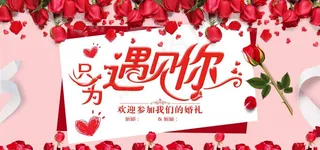 只为遇见你图片