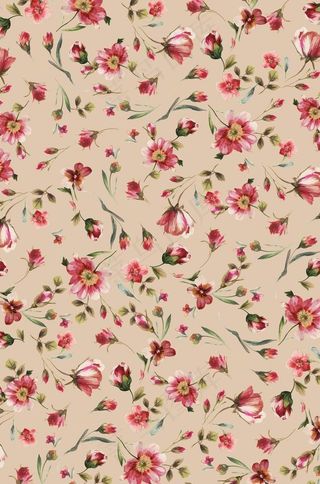 花朵 花卉 欧美印花 各种花图片